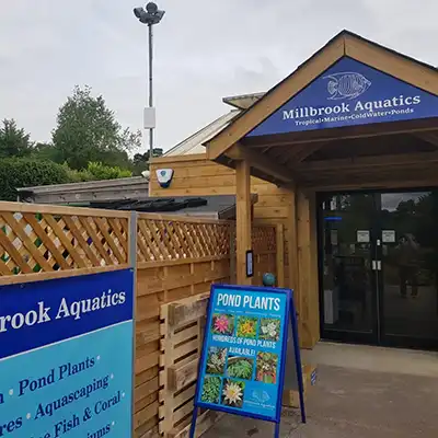 milbrook aquatics